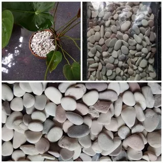 Batu Hias Tanaman/Aquarium Pancawarna 1 KG (Beli 10 pack Harga Grosir)