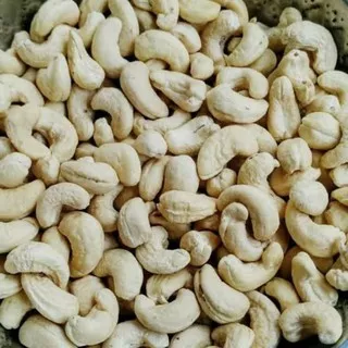 Kacang Mete mentah