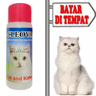 Sampo Khusus Bulu Putih Kucing Shampo Cleova