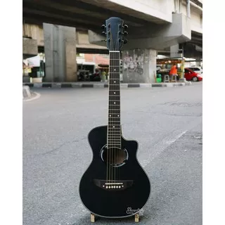 Gitar Akustik Ukuran 3/4 Model APX T2