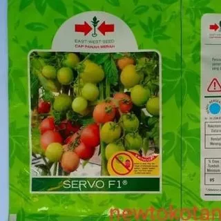 Benih bibit tomat hibrida SERVO F1 1750 butir  produksi panah merah servo 1750 butir