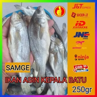 Ikan Asin Kepala Batu Ikan Asin Samge