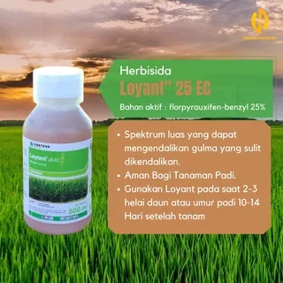 Loyant Herbisida Tanaman Padi 500ml