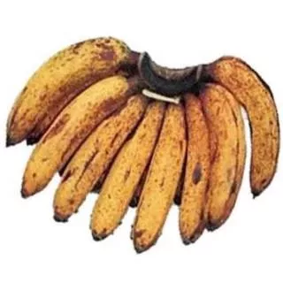 Pisang barangan medan