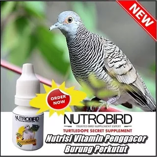 Promo Nutrobird Nutrisi Vitamin Burung Perkutut Derkuku Gacor Obat Penggacor Burung Perkutut Lokal Bangkok Ampuh