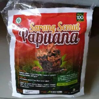 Sarang Semut Sarmut Curah Rebus Sarang Semut Asli Papua Original Herbal Sarang Semut Papua Asli