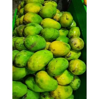 mangga harum manis /1 kg