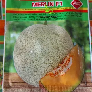 Benih Melon Merlin F1 20gr Bintang Asia Daging buah Oranye