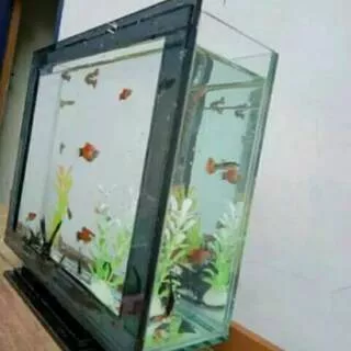 Aquarium unik  aquarium model tv led aquarium minimalis