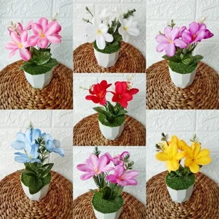 Bunga Hias Anggrek Mutiara 4 Kuntum Pot Mini // Bunga Anggrek Artificial // Bunga Anggrek Dekorasi