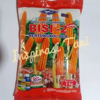 Bibit Jagung Tongkol Bisi 2 Kemasan 1kg/Benih Jagung Tongkol Bisi 2 1kg/1 kg Benih Jagung Bisi 2