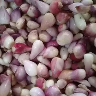 BAWANG MERAH KUPAS