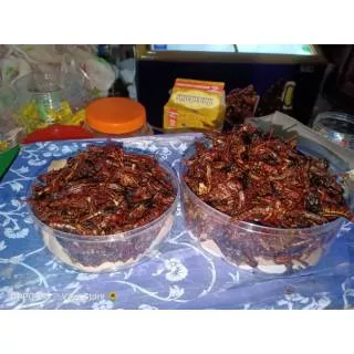 Belalang goreng