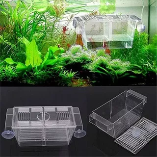 Aquarium Fish Tank Guppy Double Breeding Breeder Rearing Trap Box Spesialis Ikan Guppy