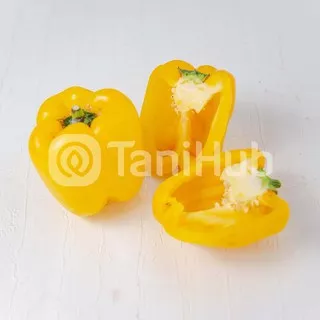 Paprika Kuning Pack 500 gr