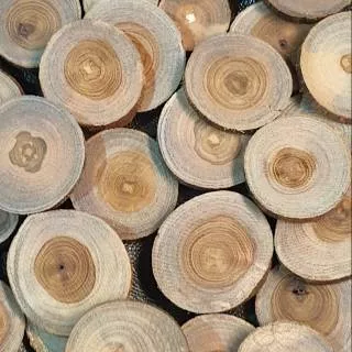 wood slice  diameter 4 - 5 cm potongan log kayu jati bahan kerajinan craft dekorasi