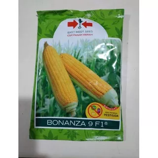 Kemasan Pabrik BIBIT JAGUNG MANIS BONANZA F1 200 BTR