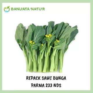 Benih Bibit Sawi Bunga Parma 233 (Isi 20 biji) New Day Seed Repack Berkualitas- Banuata