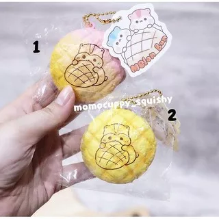 PROMO SQUISHY LICENSED mini melon bun poli by popular boxes (ORI)