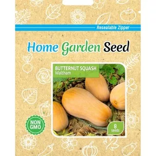 Labu Madu Squash - Benih Home Garden Seed isi 8 Seed