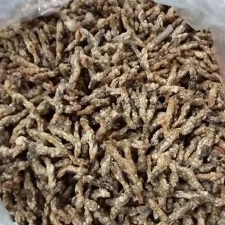 Lorjuk Goreng Siap Saji Jenis Besar (100 gram)