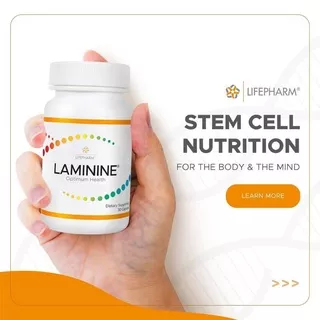 LAMININE STEMCELL SUPLEMEN ORIGINAL LIFEPHARM USA