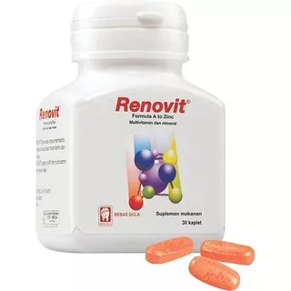 RENOVIT Multivitamin & Mineral - 30 Kaplet