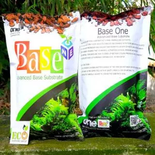 Rumah Bakteri Base One Riset Tanaman Air Aquascape