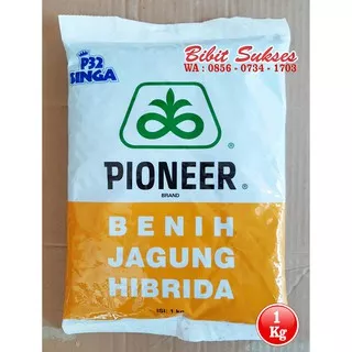 Benih Bibit Jagung Hibrida P32 Singa PIONEER 789  Kemasan 1 Kg