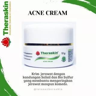 Theraskin Acne Cream (Krim Malam Jerawat/Komedo) Original