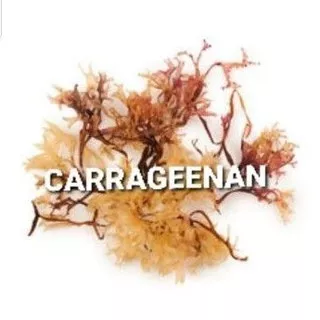 Carrageenan 50 gram / Cosmetic grade