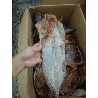 Sotong Kering (500g) Sotong Pontianak / Dried Squid / Juhi / Jiuhe / Jiu Ng / Cumi Kering / Sotong Mentah / Sotong Kalimantan / Sotong Pontianak