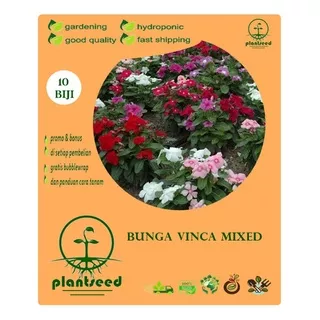 biji benih bunga vinca mixed  ,  10 biji