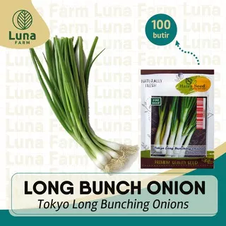 Benih Bawang Daun Tokyo Long Bunching Onions Haira Seed Kemasan Urban Isi 100 Butir Bibit Leek Onion