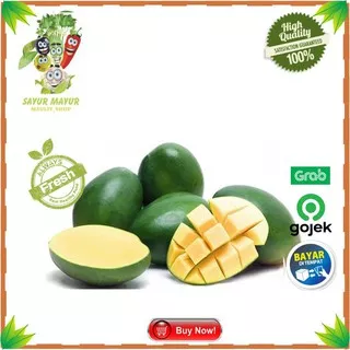 Mangga Muda Mangga Rujak Mangga Segar Buah Fresh 1 Kg