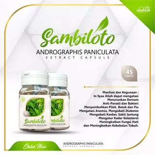 OBAT HERBAL SAMBILOTO isi 45kapsul Extract Daun Sambiloto Menurunkan Demam Obat Malaria