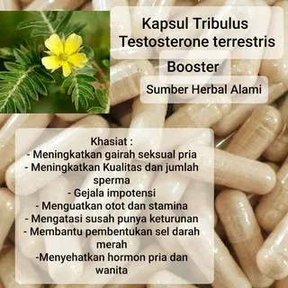 Kapsul Testosteron Booster /Tribulus Testosterone Terrestris Peningkat Hormon Testosteron