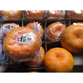 Jeruk Ponkam HDL Honey Mandarin Besar I Super Selected Ponkan Ponkam