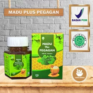 MADU PLUS PEGAGAN // MADU KECERDASAN OTAK ANAK // MADU DAYA INGAT OTAK ANAK DAN DEWASA