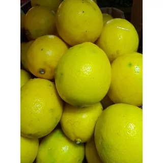 lemon california lokal 500 gram