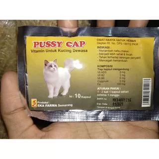 Pussy Cap - Vitamin Kucing Dewasa Penambah Nafsu Makan