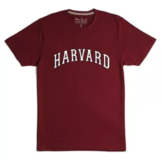 Kaos / tshirt / baju Harvard