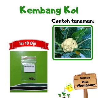 Biji Kembang Kol Bibit Sayur Unggul