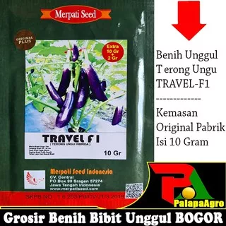 Isi 10gram - Benih Terong Ungu F1 TRAVEL - Bibit Terong Ungu Super Unggul