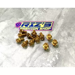 BAUT PROBOLT COVER BAK MESIN NINJA R NINJA RR STAINLESS GOLD HENG UKURAN 6x10 MM ISI 8 PCS