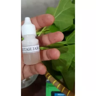 GETAH JARAK 10ML TANAMAN POHON JARAK