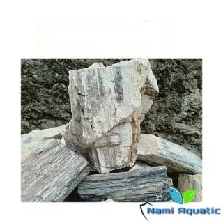 Batu Fosil kayu | hardscape | aquascape