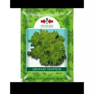 Grand rapid selada  15 gr