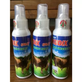 KUDIX SPRAY Anti Infeksi