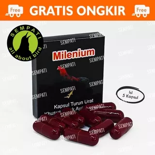 MILENIUM KAPSUL TURUN URAT OBAT AYAM JAGO BANGKOK OBAT KAKI AYAM LUMPUH BENGKAK TEDUN JAMU AYAM JAGO BANGKOK ADUAN KAPSUL MILLENIUM OBAT TURUN URAT AYAM TARUNG ADUAN